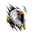 thumbnail image 2 of Eagle Car Sticker Decals Simulation Cartoon for Bumpers Motorcycle Right, 2 of 9