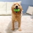 thumbnail image 5 of Dog Toothbrush Stick, Dog Teeth Care, Non-Toxic Natural Rubber Anti-bite Effecti, 5 of 5