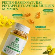 (2 Pack)Mullein Gummies for Lungs – Mullein Supplement with Quercetin, Elderberry for Respiratory & Immune Support, Lung Breathing & Detox, 60 Pineapple Gummies
