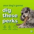 thumbnail image 4 of Benebone Essentials Bone Bacon M/L, 4 of 6