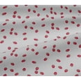 thumbnail image 5 of oneOone Viscose Jersey Fabric Raspberry Fruit Print Sewing Fabric BTY 60 Inch Wide, 5 of 5