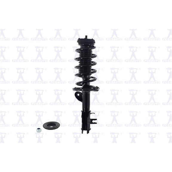 Suspension Strut and Coil Spring Assembly