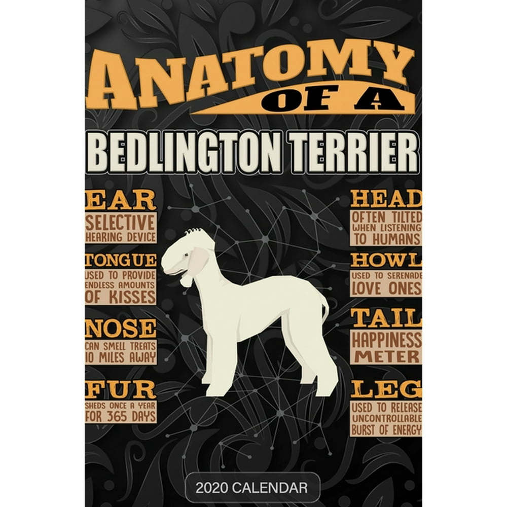 Anatomy Of A Bedlington Terrier : Bedlington Terrier 2020 Calendar