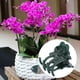 thumbnail image 5 of Clip para plantas, 200 piezas, hermoso accesorio de jardín con forma de rosa, clip para plantas de jardín, calidad superior, 5 of 9
