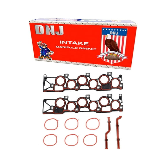 DNJ IG4129 Intake Manifold Gasket Fits Cars & Trucks 05-08 Ford Mercury F150 3.9L 4.2L V6 OHV