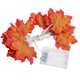 thumbnail image 1 of Cadena Luces Halloween 3M 20 LED Hoja Arce Otoño, 1 of 9