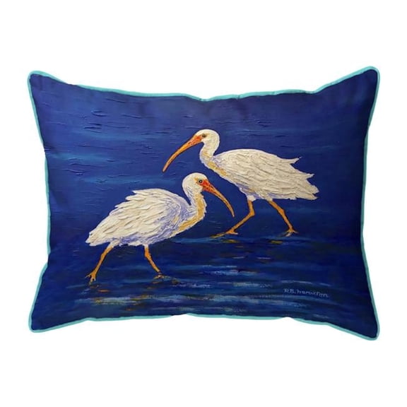 11 x 14 in. Ibis Passing Small Indoor & Outdoor Pillow