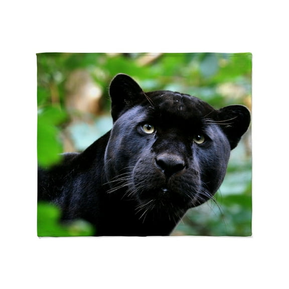 CafePress - Black Panther Cat Throw Blanket - Soft Fleece Throw Blanket, 50"x60" for All Ages