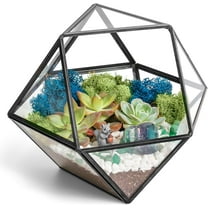 Creations by Nathalie | Geometric Terrarium | Handmade in USA - Assembled 6" x 6" x 7"