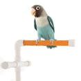thumbnail image 1 of FESTFENDS Bird Perch Suction Cups for Shower Plastic Bathing 1Set, 1 of 7