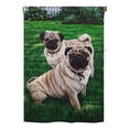 thumbnail image 2 of Breeze Decor 60006 Pets Pugs Love 2-Sided Impression Garden Flag - 13 x 18.5 in., 2 of 2