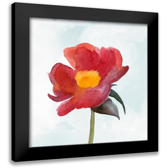 Ludwig, Alicia 12x12 Black Modern Framed Museum Art Print Titled - Joyful Peony I