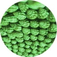 thumbnail image 1 of Ahgly Company Machine Washable Indoor Round Transitional Green Area Rugs, 7' Round, 1 of 7
