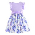 thumbnail image 3 of BULLPIANO Girls Ruffle Trim Dress CrewNeck Floral Belted Casual Party Dress 4-7 Years, 3 of 5