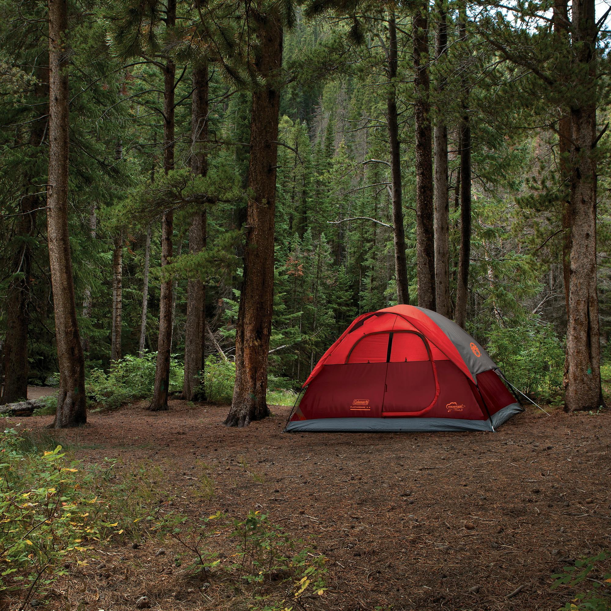 Coleman 4-Person Flatwoods II™ Lightweight Dome Camping Tent