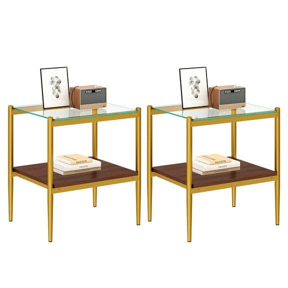 MAYEERTY Set of 2 Rectangle End Tables with Transparent Tempered Glass & MDF Layer