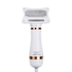 thumbnail image 1 of Peine para el pelo de gato, soplador de pelo de perro, secador de pelo de bajo ruido, cepillo rebanador, accesorios para mascotas JShteea Libre de BPA, 1 of 9
