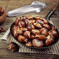 thumbnail image 6 of Stainless Steel Chestnut Cutter Tool Chestnut Opener Tool Chestnut Open Clip Chestnut Knife Chestnut Cracker Tool Chestnut Peeler Nut Cutter, 6 of 6
