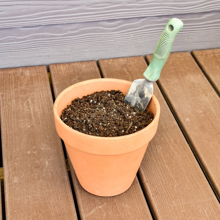 Lemon Lime Prayer Plant Potting Mix (4 Quarts), soil additive for Prayer  Plants, Custom Blend Small Batch