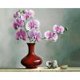 thumbnail image 1 of Kits de pintura al óleo de Phalaenopsis por números, cuadro de pared artesanal, decoraciones para el hogar Tmvgtek decoración de arte en el hogar, 1 of 9