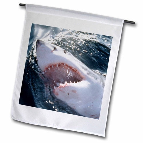 3dRose, Great White Shark on sea , 12 x 18 inch Garden Flag