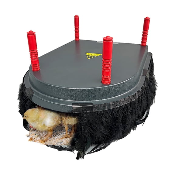 Hantop Chick Brooder Heating Plate with Comfort Feather Skirt, Adjustable Height Chicken Coop Heater Warmer for Up to 20 Chicks, Energy Efficient 13W Poultry Brooder Heater Plate (15" x 13")