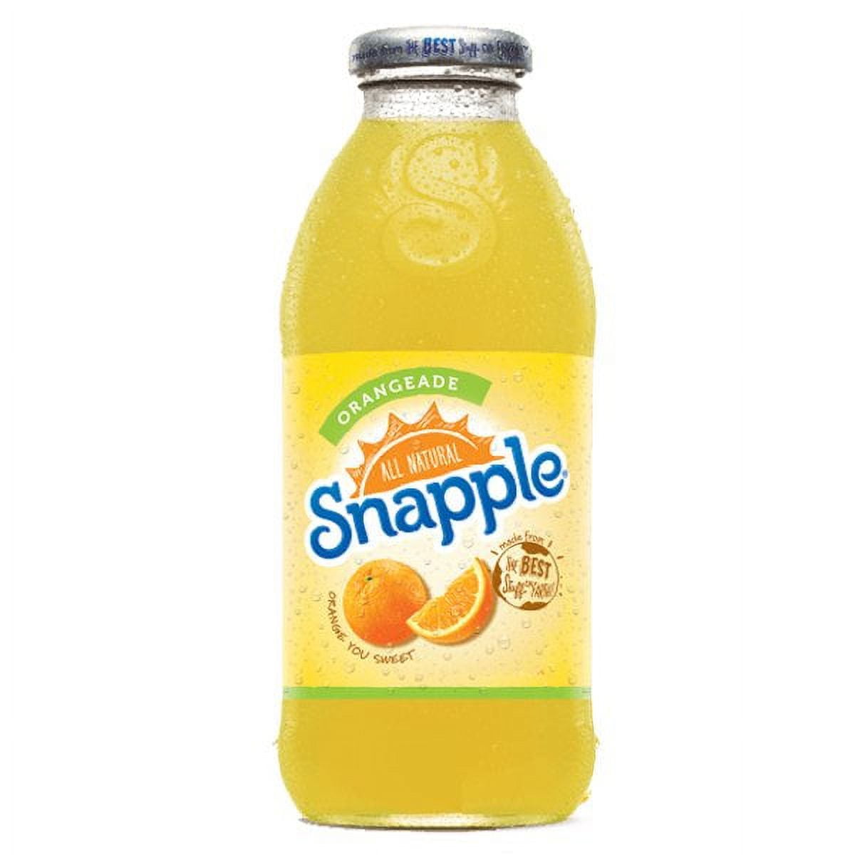 Snapple Orangeade 16 oz (Pack of 24 Plastic Bottles)-Orange Flavor