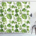 thumbnail image 1 of Ambesonne Leaf Shower Curtain, Swirls Palm Banana Trees, 69"Wx70"L, Pale Green, 1 of 3