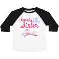 thumbnail image 3 of Inktastic Big Sister Owls Girls Toddler T-Shirt, 3 of 5