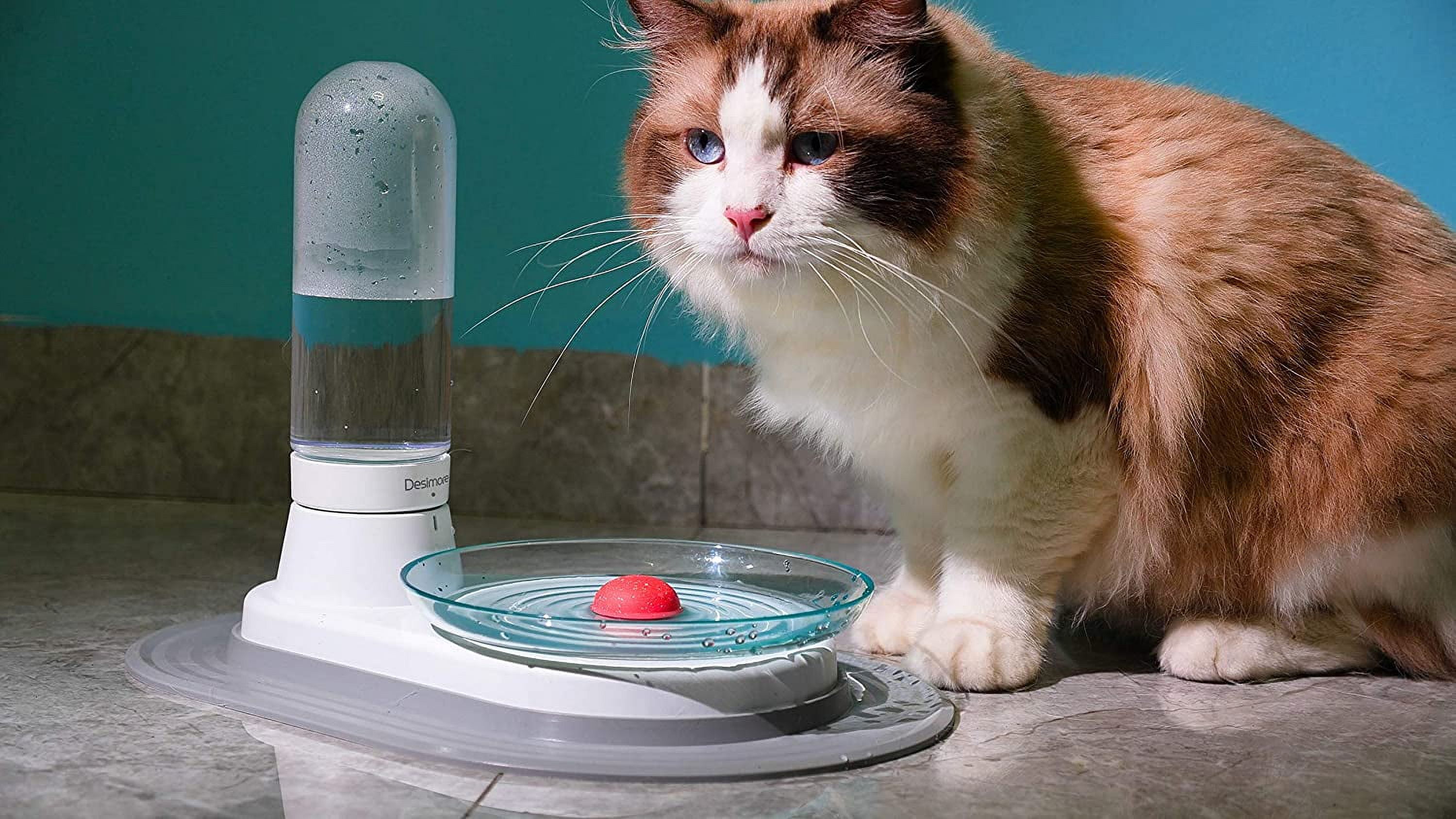 Non-Electric Pet Fountain, No-Filter Cat Fountain Quiet Automatic Pet Drinking Fountain to Keep Your Cats and Dogs with Clean Water Every Day