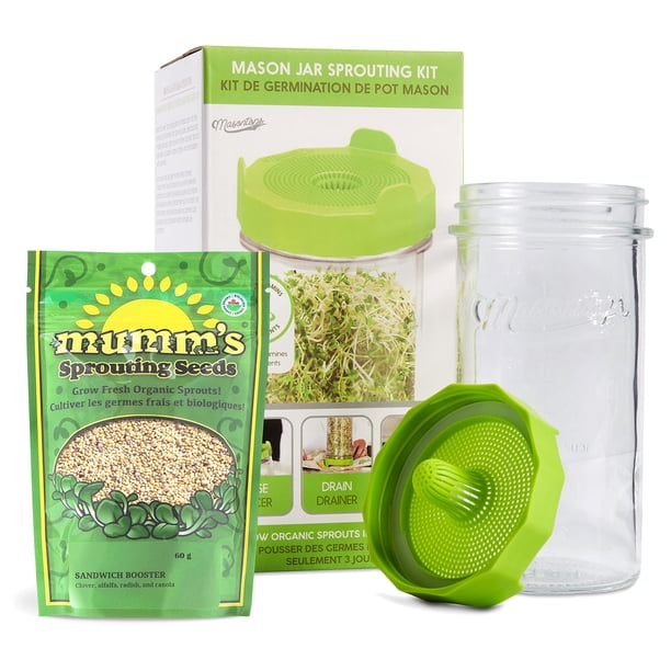 Masontops Mason Jar - Juego de iniciación para brotes de frijoles, fácil kit de brotes de frijoles con semillas orgánicas, tapas para brotes, kit completo de cultivo de brotes de frijoles