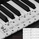 thumbnail image 1 of Pegatinas para teclado de piano: interesante guía de piano para niños y principiantes, 1 of 5