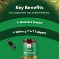 Pure Saw Palmetto Extract Capsules Enhanced Hair Growth Supplement