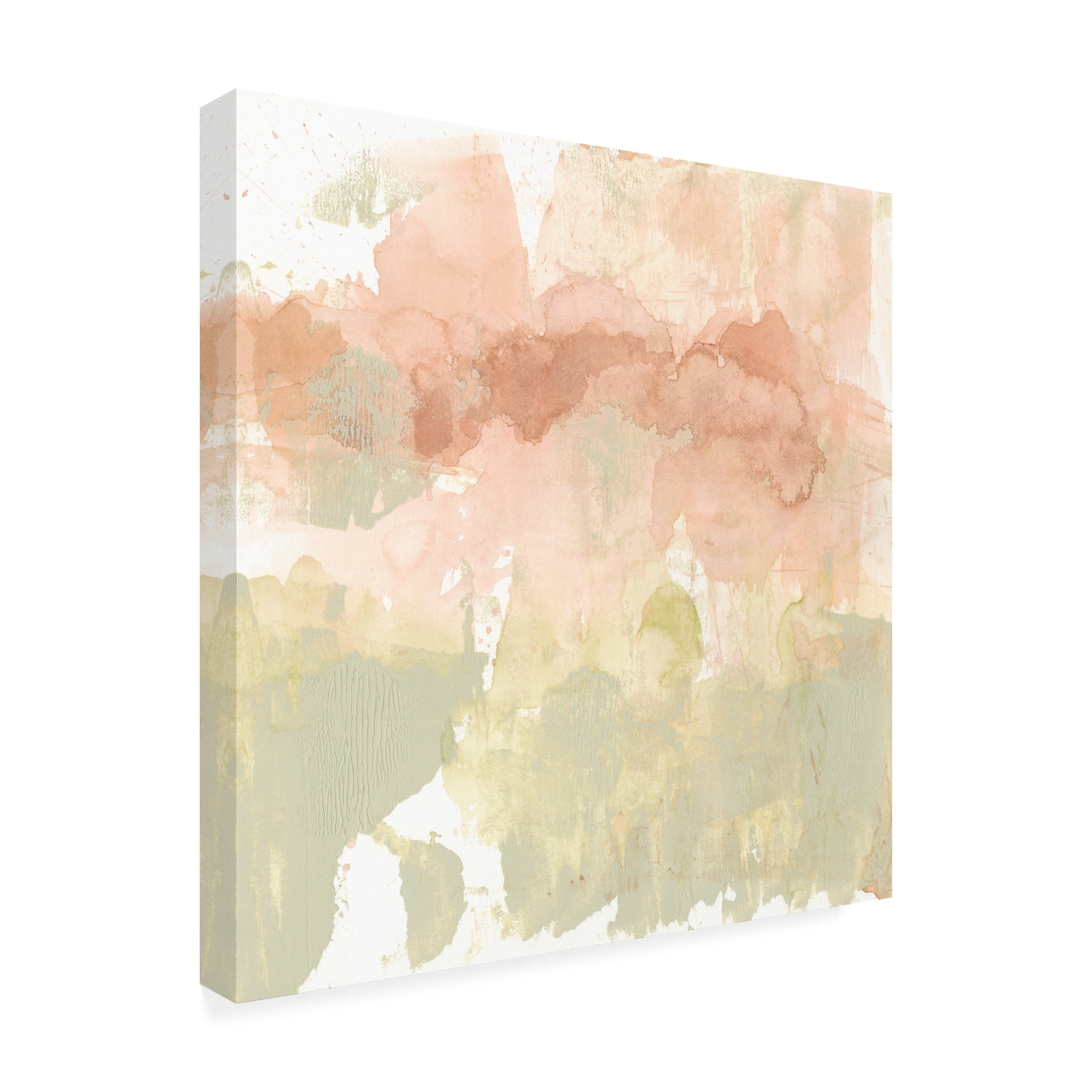 Trademark Fine Art 'Dusty Blush And Olive I' Canvas Art by Jennifer Goldberger