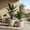 Grey, variant on NOBOLEA 2Pcs Round Concrete Planter, Large Indoor/Outdoor Flower Pots with Drainage Hole for Plants for Home Garden Patio, 13" x 13" & 16" x 16"