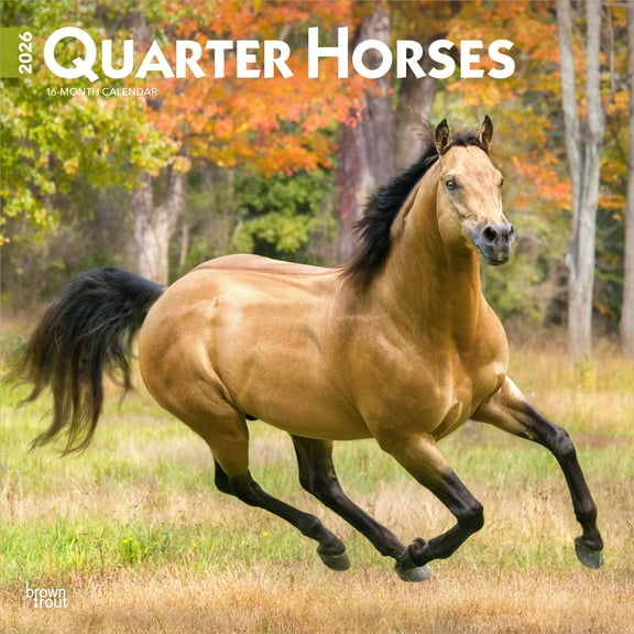 Quarter Horses | 2026 12x24" (Hanging) Square Wall Calendar | Plastic-Free