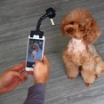 thumbnail image 1 of Xihbxyly Palo Selfie para Mascotas, Material de Pvc, Clip Ajustable En Forma de Flor, Práctico Accesorio para Fotografía de Mascotas, Multiusos para Perros y Gatos, Compacto y Ligero, 14,6 Cm de Larg, 1 of 2