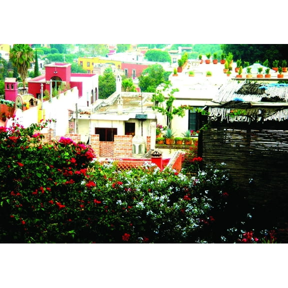 Warren Mexico XIV Glossy Poster