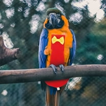 LOLIPPYY Bird Diaper Cotton Cloth Red Pet Owners Outdoor Use 1 Set