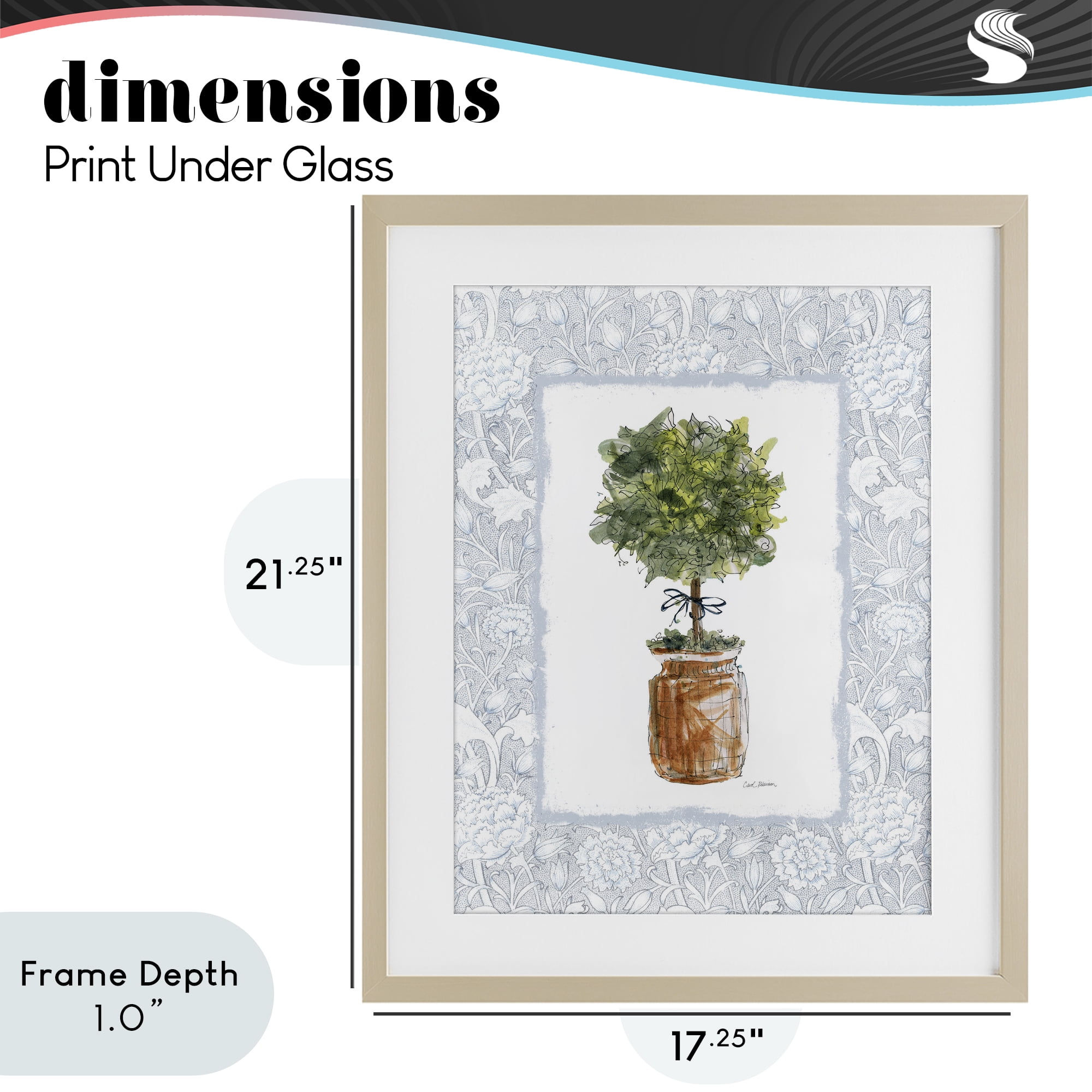 Stupell Industries Potted Topiary with Ribbon Birch Framed Print Under Glass, design by Carol Robinson
