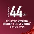 thumbnail image 2 of Vicks Formula 44 Cough & Chest Congestion Liquid, Berry Flavor, 12 fl oz, 2 of 10