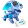 Poo-Chi: Metallic-Blue With Turquoise Ears