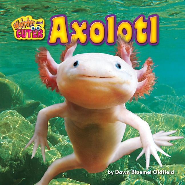 Axolotl Walmart Com Walmart Com Axolotl Walmart Com Walmart Com