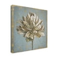 thumbnail image 4 of Beth Grove 'Seed Pod I no Words and Stamp Gold' Canvas Art, 4 of 4