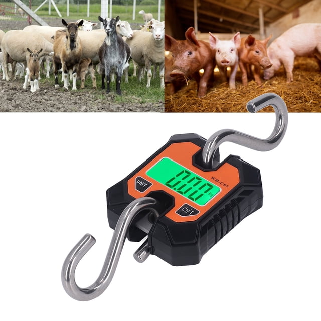 Báscula De Grúa Digital, Báscula Colgante LCD De Alta Precisión Sensor De 8 Mm Gancho De Acero Inoxidable 0,2-100 Kg Con 2 Pilas AAA Para Pesaje De Equipaje