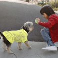 thumbnail image 5 of Vestido para perros KAIYANG 2 piezas transpirable de malla para mascotas verano, 5 of 5