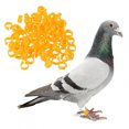 thumbnail image 3 of EeaseMX 200 anillos de identificación para aves, palomas, loros y aves (color aleatorio), 3 of 8