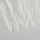 thumbnail image 2 of 50 Piezas de Hierba Artificial, Pampas, , Planta Falsa, Decoración para Bodas, Fiestas en el Hogar., 2 of 5