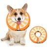 Ornge