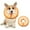 Ornge, variant on MIDOG Adjustable Polyester Neck Brace Collar for Cat & Dog, Dog Cone Collar for Small Medium Large Dogs After Surgery, Extra Small, Doughnut